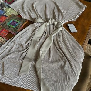 BNWT from Nordstrom - Short Silver dress by The Vanity Room in Large.